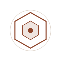 Geometric mark for Security and Risk Leadership: nested hexagons around a single central point.